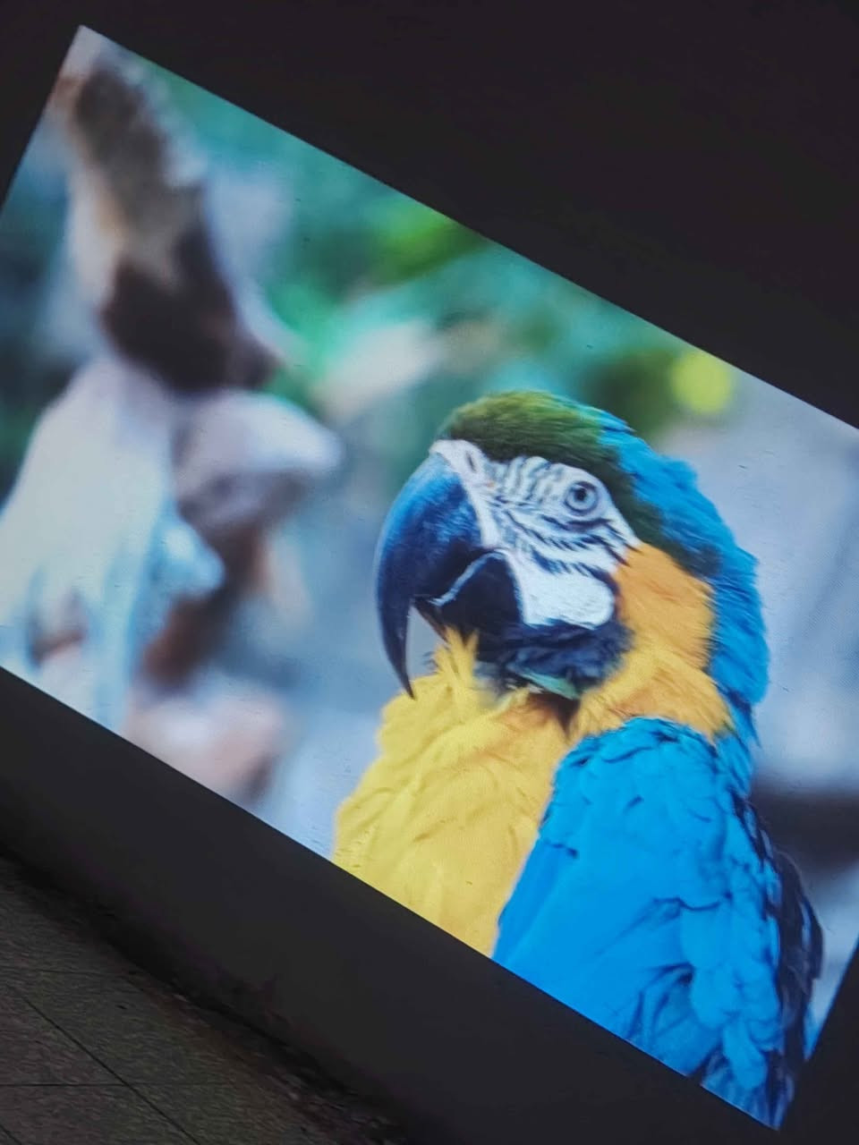 سينما ببيتك وبسعر بلاش! 📽️✨
للبيع بروجكتر 4K شبه جديد، النظافة 100% يعني لسه بريحة الشركـة. الي يدور نظافة ووضوح عالي هذا الخيار الصح إلك.
​السعر: 70 ألف، وتدللون بـي مجال قليل للطيبين.
​الاستفسار عالخاص، والي يسبق هو الرابحان! 😉 *********** بغداد, العراق
