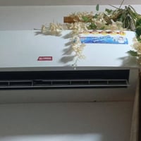 سبلت الونسا 1 طن كلش نظيف استخدام موسم السعر 200 07700604074