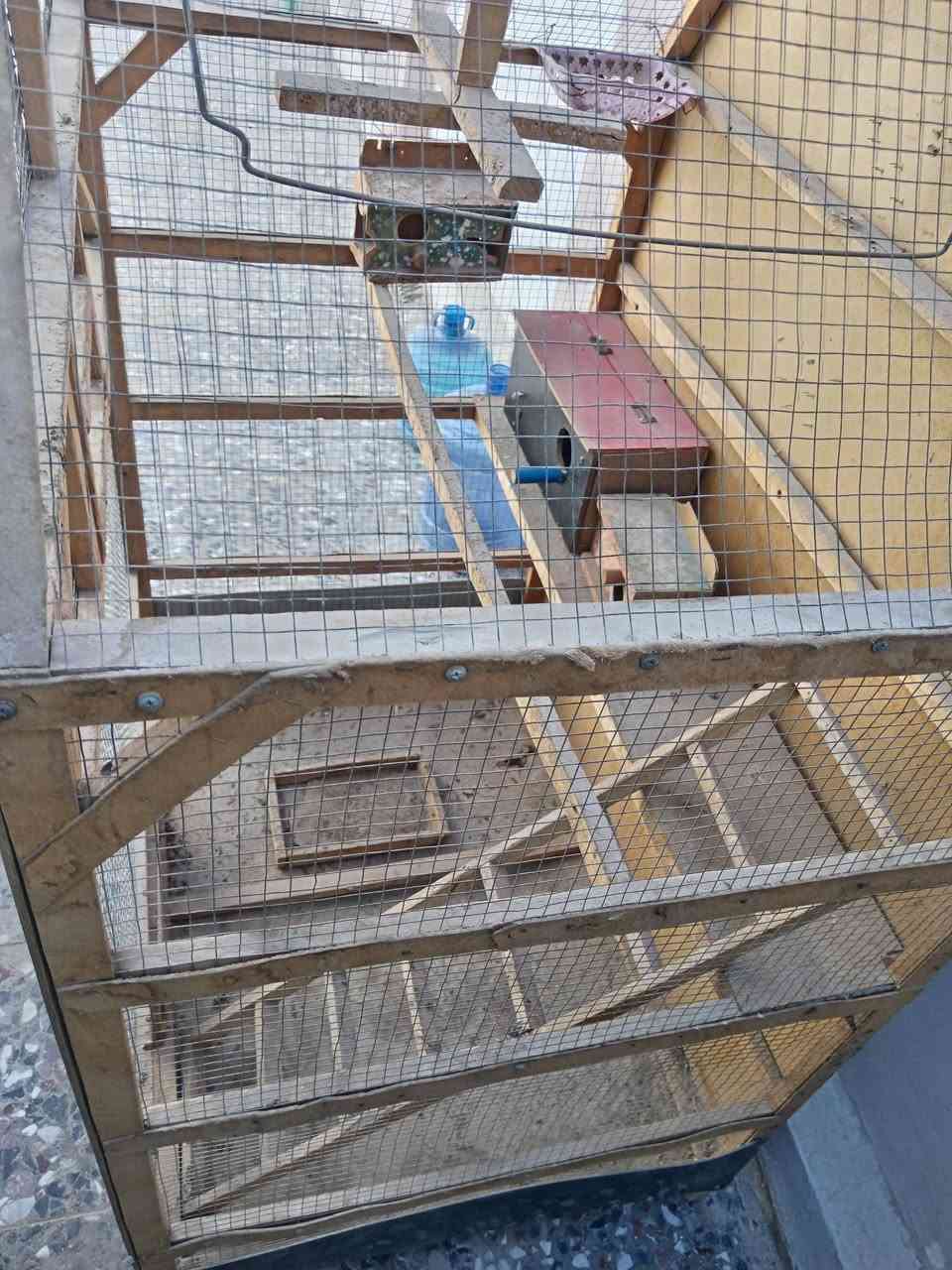 للبيع مكاني كوفه السعر ٥٠


**إذا كنت صاحب هذا الإعلان وتريد حذفه لأي سبب، رجاءا أرسل رسالة إلى الدعم الفني**