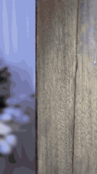 ر كوشة خطوبة أعراس للإيجار جديدًا مع خدمة الشد والنقل بغداد للتواصل 07...