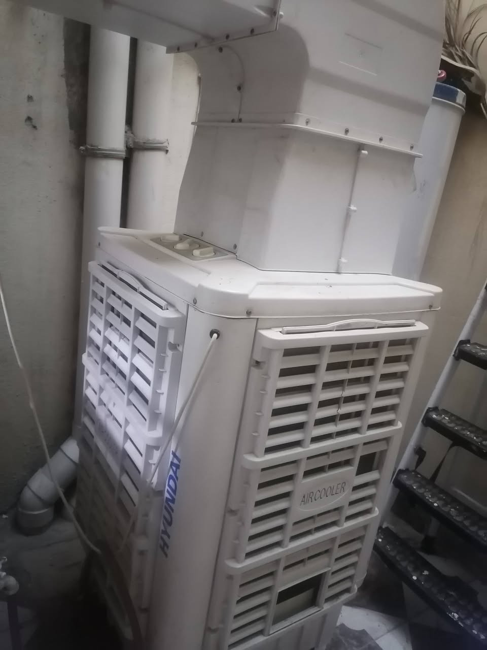 مبرده للبيع حجم وسط السعر 275شرط الشغل


**إذا كنت صاحب هذا الإعلان وتريد حذفه لأي سبب، رجاءا أرسل رسالة إلى الدعم الفني**
