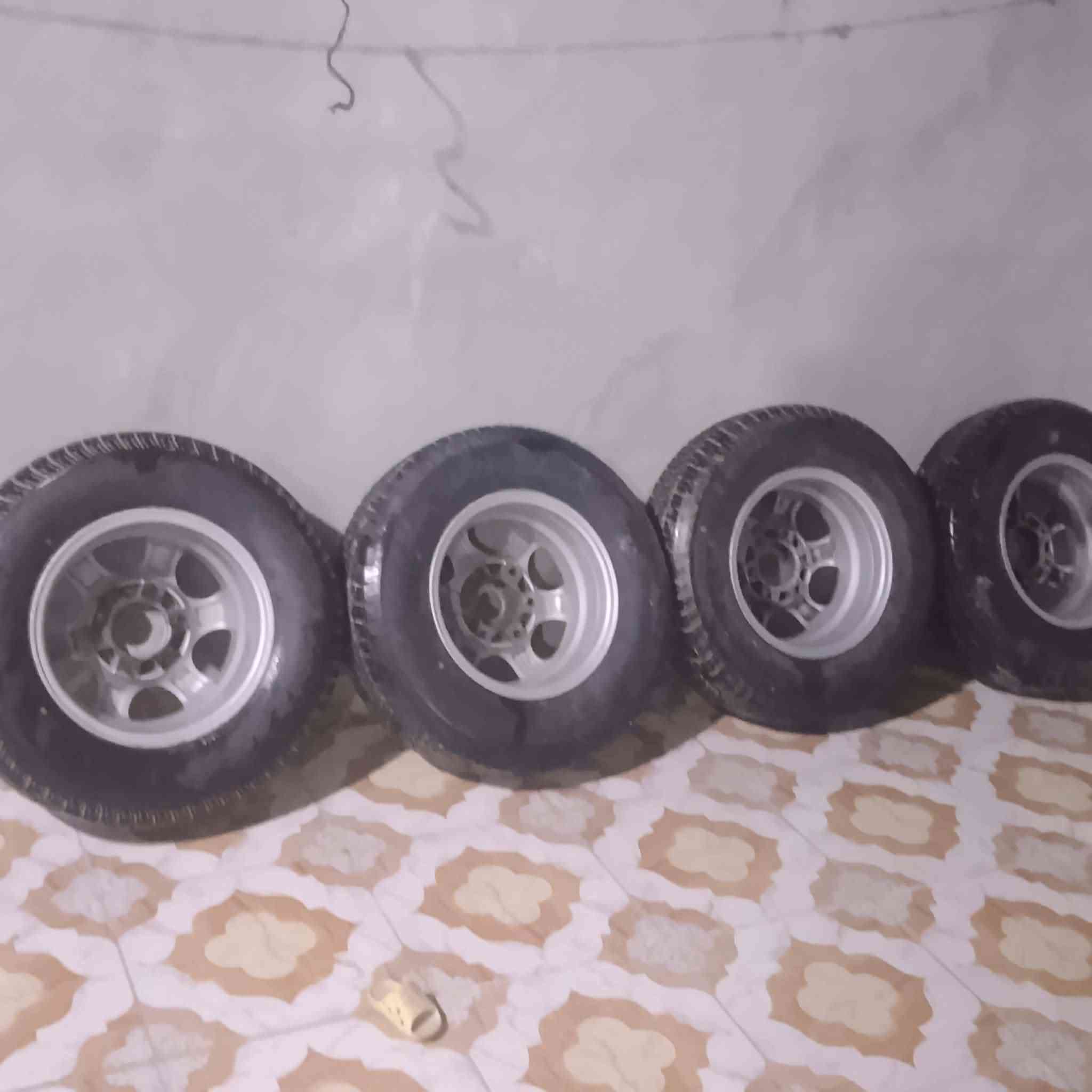 سلام عليكم وياله تيرات جديد صلى  ٥ ايام من شادهن حجم14  تيرات هم14 مال منغولي مكان حله عوفي لرقم *********** لسعر خاص
