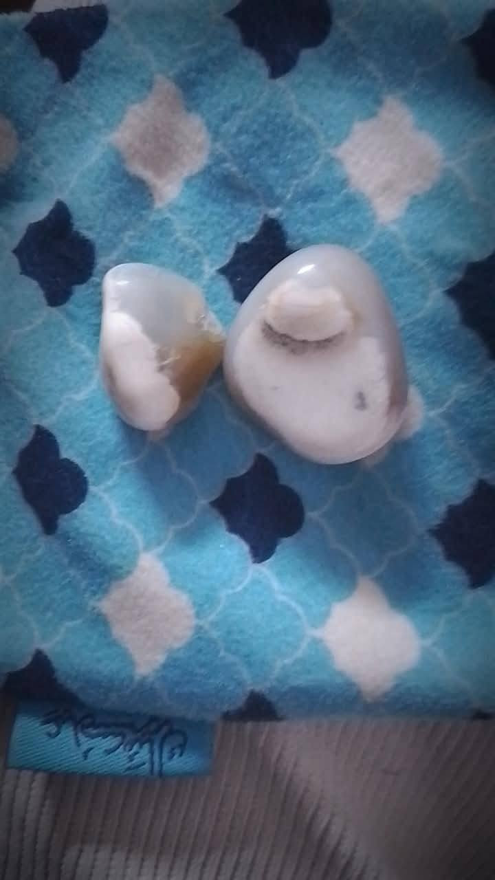 السلام عليكم للبيع
***********
