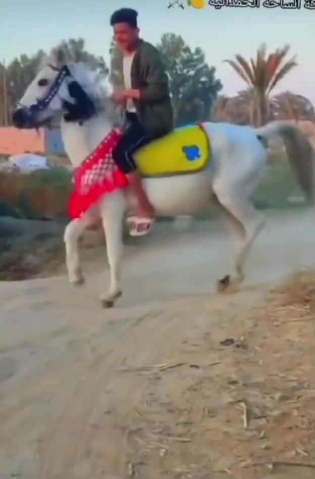 يا الله السلام عليكم خيالتنه العزاز خيل العدد 2 البيع الخيل صاغ سلم صغار عمر سعر الكل 1300 وبيهن مجال المكان الحمزه الغربي توصيل الجميع المحفضات حسب النتفاق *********** يوجد واتساب الشراي بي خير ويدلل
