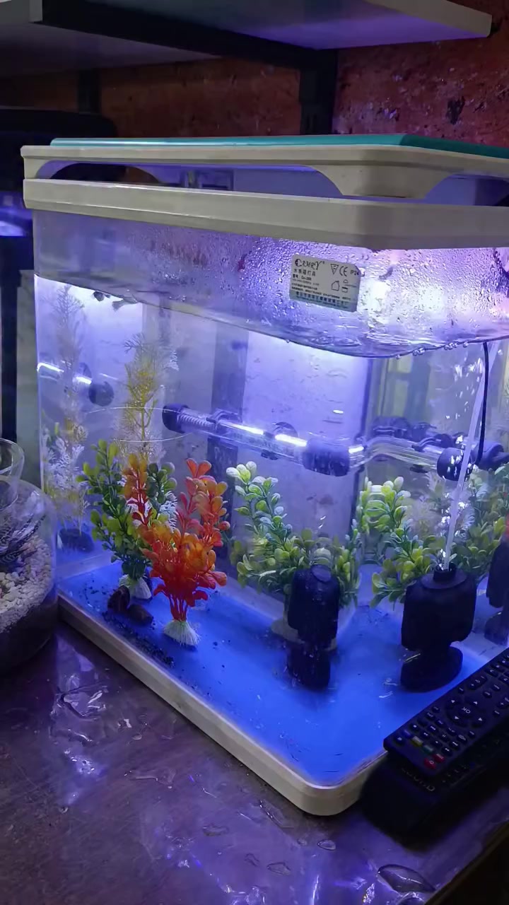 مجموعه احواض اسماك بأسعار مناسبة حله قاضيه شارع مركز الحساسيه


**إذا كنت صاحب هذا الإعلان وتريد حذفه لأي سبب، رجاءا أرسل رسالة إلى الدعم الفني**