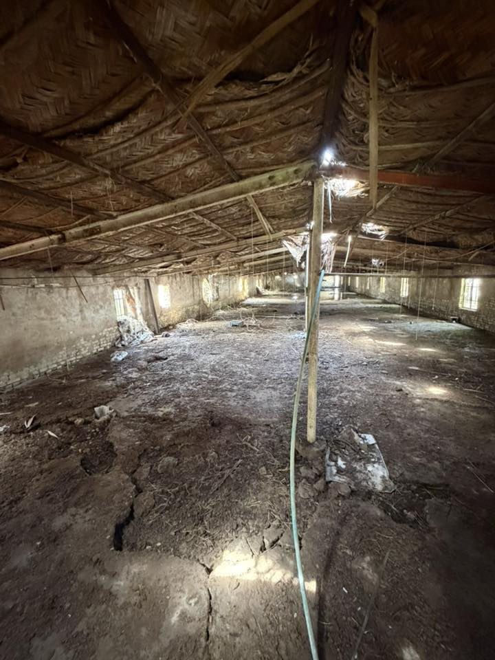 السلام عليكم حديد مستعمل البيع مال حقل دواجن السعر مناسب 
اللاستفسار ***********
