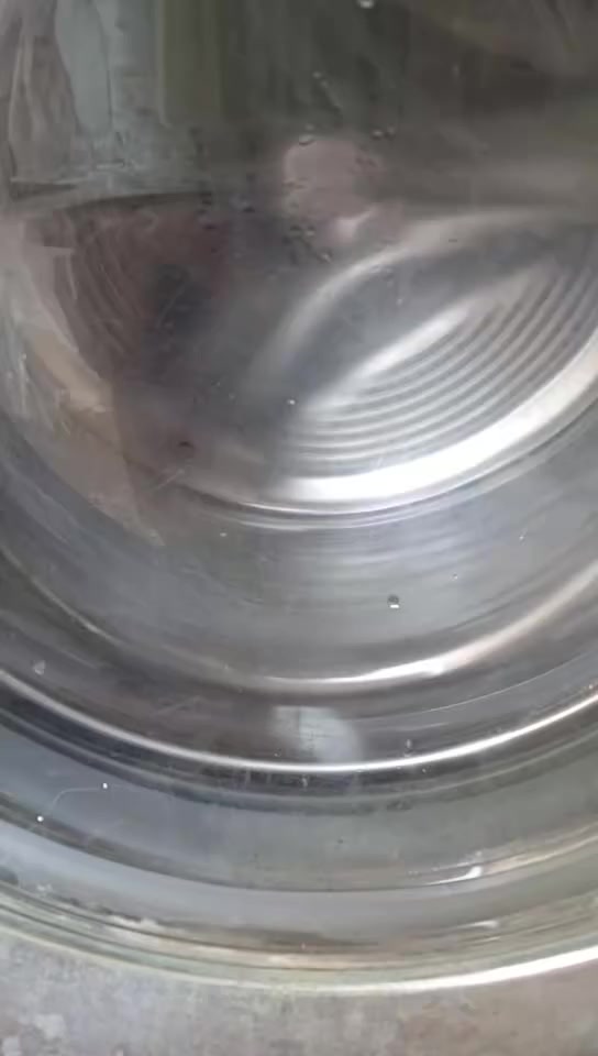 غساله للبيع سعرها على الخاص


**إذا كنت صاحب هذا الإعلان وتريد حذفه لأي سبب، رجاءا أرسل رسالة إلى الدعم الفني**