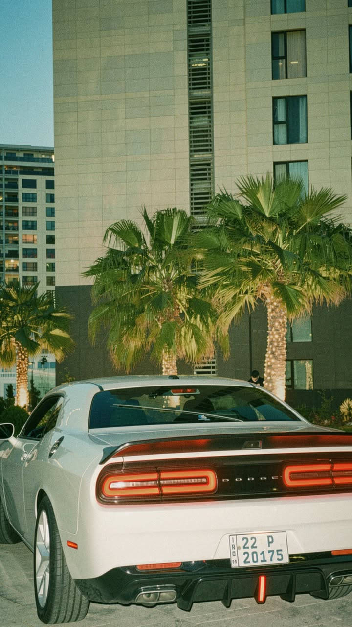Dodge Challenger 2023 GT V6 للبيع ‼️

ممشى :- 30 الف ميل ما يعادل 55 الف كبلو
وارد امريكي :- حادث سرقة بنيد وجاملغ + ٣ قطع كلير من امريكا بدون حادث مسبق
الصور مرفقة بالمنشور

بدون ايرباك بدون شاصي محرك كير كلشي كفالة

رقم اربيل 20175p

السيارة جاهزة ميحتاجلهه ربع دينار 
مواصفات gt
شاشه وسط
حساسات 
كشن كهرباء
تبريد قطعتين
سماعات الباين
كروز كونترول
رادار
كامرة خلفية
الاضافات :-

لحية وايد بدي
سبويلر ريد اي
فجوج 
سبيسرات 2.5ملم
برمجة الكبير ايگل 
دفيوزر لد
لدات جانبية متغير ريمونت
شفتات ستيرن
دركة كاربون فايبر الياف حقيقية

مكان السيارة بغداد / حي الجهاد / مجمع النسيم

*********** متواجد واتس اب 

بيع فقط بدون مراوس

السعر 195 وبي مجال
￼
