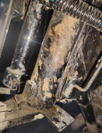 بارت • وراق اصولي • شطره شوملي