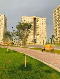 باك لاند دايموند ستي • ٨٠م • زيرو