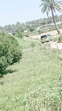 قطعة الأرض طابو زراعي سند ٢٥ موقع عرب جبور سعر دونم ٦٥ وبيهن مجال غريب...