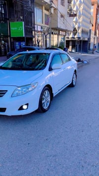 كورلا • ٢٠٠٨ • بغداد دولي