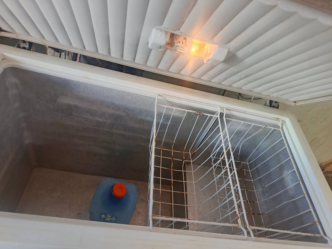 يا الله يا رزاق مجمده تجميد فول ع شرط السعر ١٦٥ شاميه قرب مصرف الرشيد مصطفى الكرعاوي يوجد توصيل ***********
