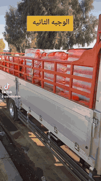 حنطه • نوع عربيه • كركوك طوبزاوه