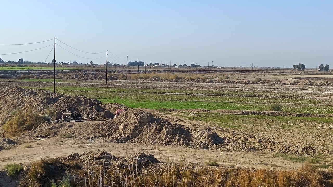 السلام عليكم كاع البيع 30دونم عله المصيفي هيه وزرعهه يتوفرر ماي وكرهباىه ومعه بستان نخيل 3دوانم والتبليط عنهه 5متار ***********.***********
