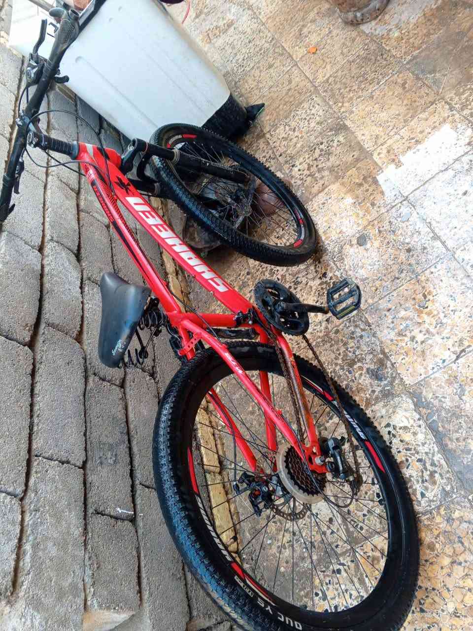 باسكل للبيع سعر عل خاص رقم ***********
