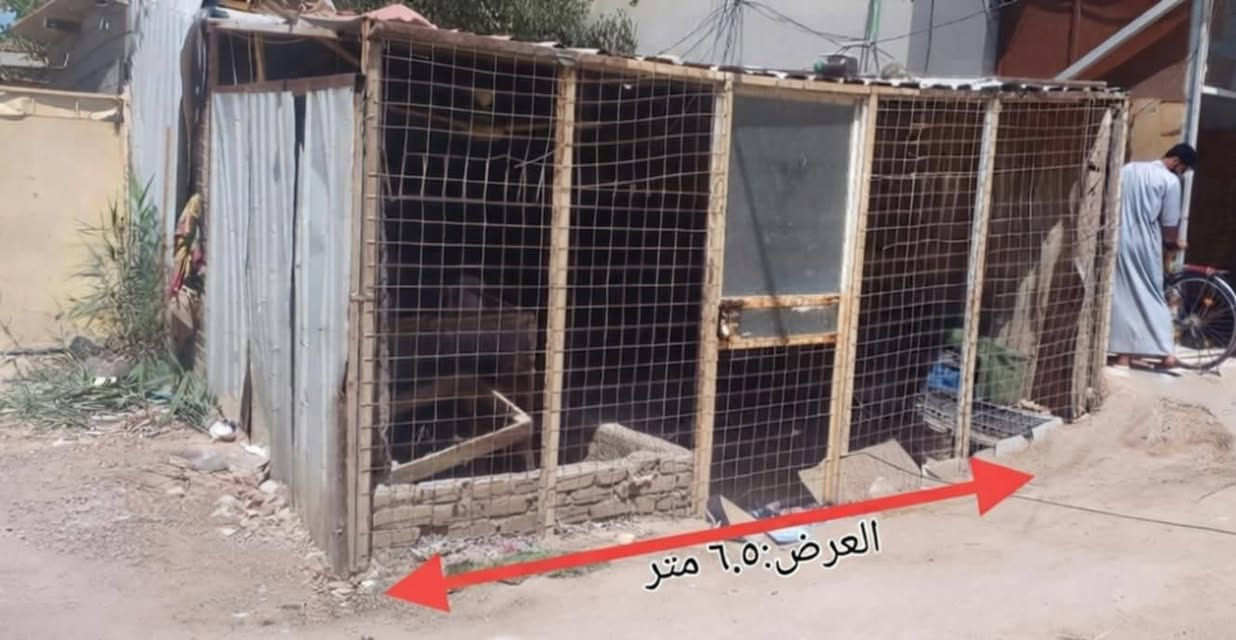 بيت للبيع
ركن
المساحة ١٣٠متر. وجه ٦ونص و نزال ٢٠
على شارع تجاري
يوجد فيه محل
مزارع اليرموك  مقابل قرية الغدير خلف نادي الفروسية
مقابل السادة الغرابات 
للتواصل ***********
