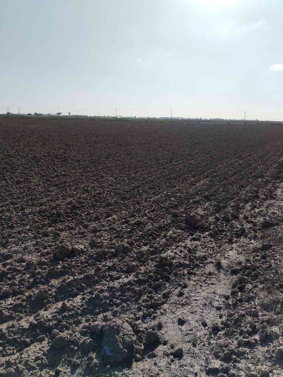 سلام عليكم ورحمة الله وبركاتة 80دونم للبيع عنوان بغداد الرضوانيه عله سريع الدولي قرب من حي الجهاد والمكاسب الشراي يتفضل خاص افهمه بل باقي ***********واتساب سعر الدونم 30وبي مجال
