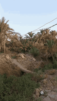 القشلة • ٢٥٠٠م • واجهة على النهر