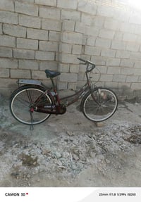 باسكل • شطره • مقاس ٢٦