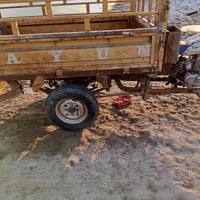 ستوته • وراق كاملة