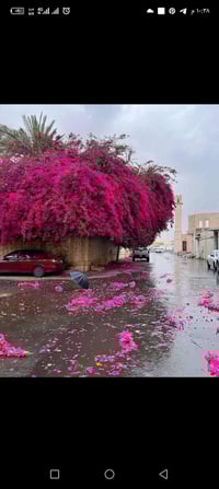 خط طالبات • الفضلية-الناصرية • اسكان البو عظم