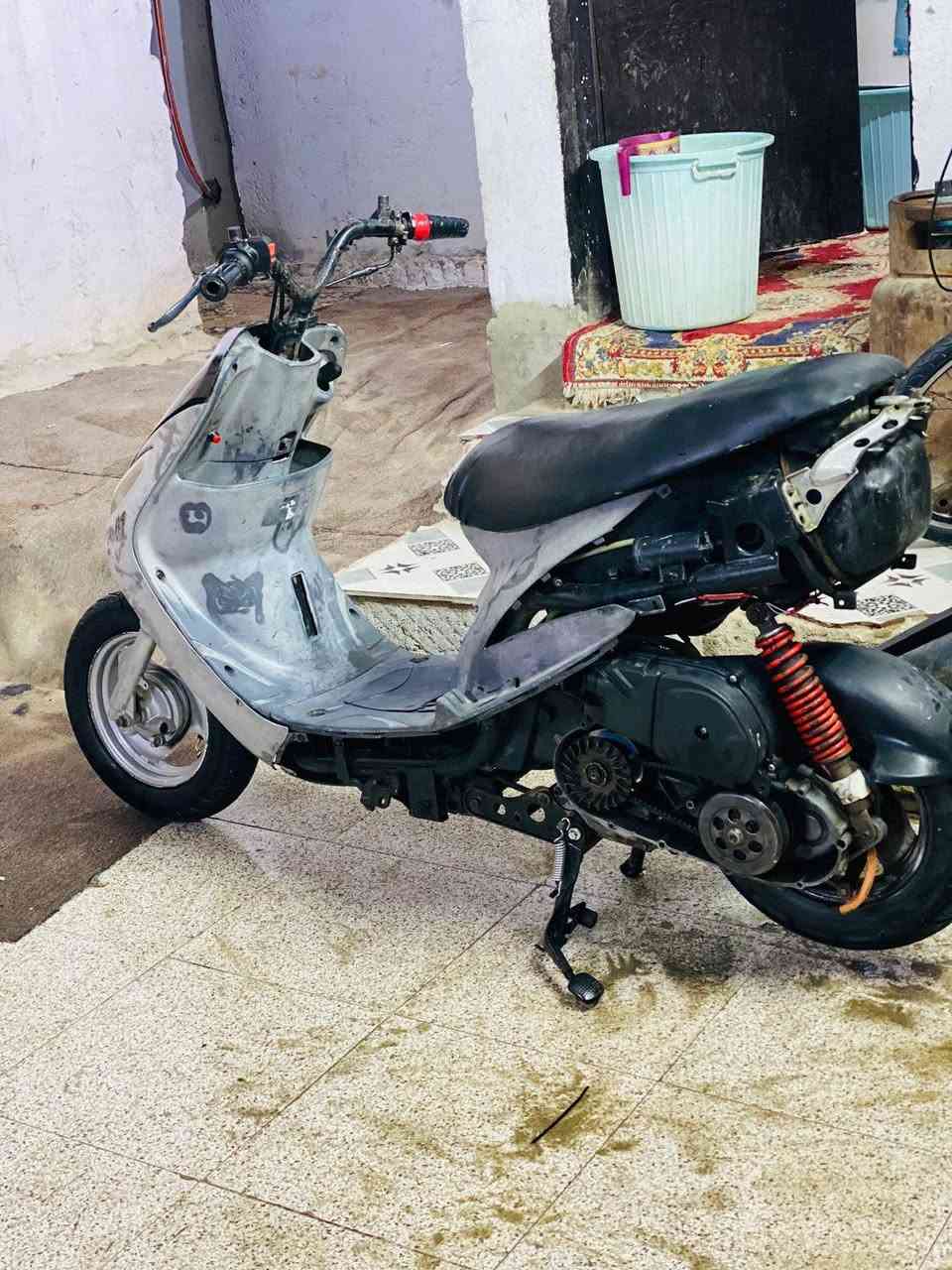 للبيع ماكس منغولي 55
مكانك ناصريه سوك الشيوخ ***********
