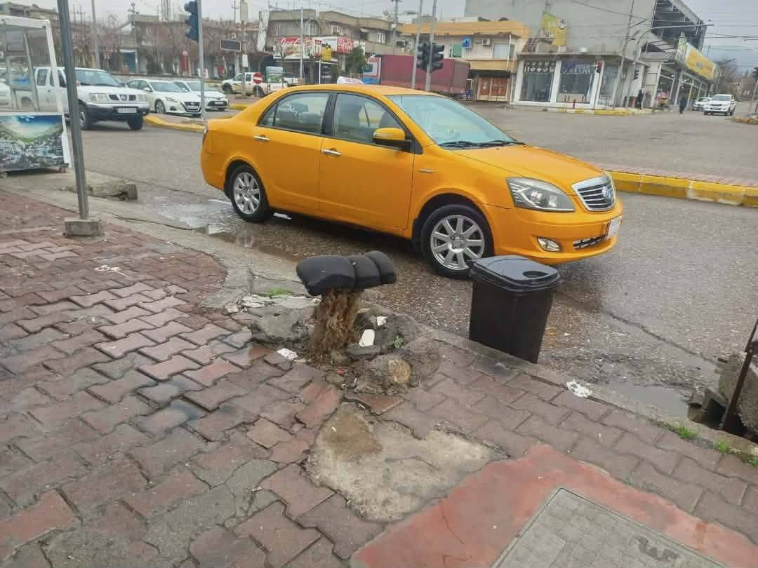 جیلی 
2012
ساردوگە رمو گیڕومە کینە و تایە گشتی بە شە رت

زۆر پاکە سیارە کە سە نە وی پلاستیکی عه سڵی جنوب 

نرخی خوار  هه موبازاڕ 
شوین هه ڵه بجە ی شه هید  گۆڕینە وە بە س بە شاهینە


**إذا كنت صاحب هذا الإعلان وتريد حذفه لأي سبب، رجاءا أرسل رسالة إلى الدعم الفني**