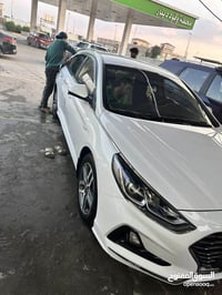 سوناتا ٢٠٢٠ • وارد كوري • كفالة عامة