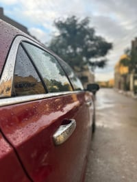 ماروني • شغل فول • ارقام اصليه