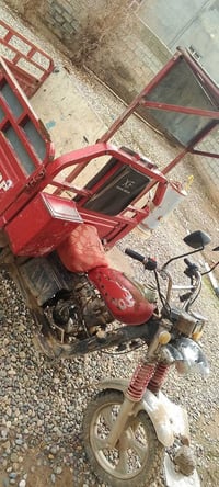 ستوته • نضيفه شغال • غريت يمام غربي