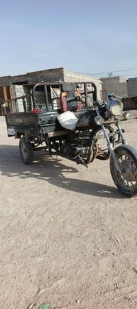 ستوته • موديل ١٦ • اوراق