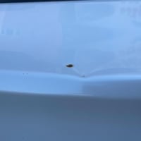 سيراتو ٢٠١٨ • محرك ٢٠٠٠ • كلين تايتل