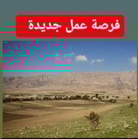 تربية بقر • سكن مجاني • السليمانية