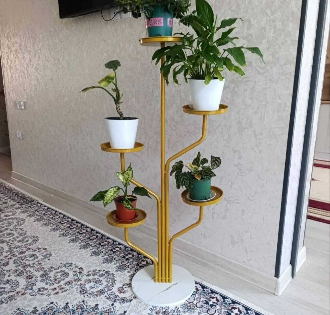 #آخر قطططع🔥
#ستاند زرع ذهبي أنيق ✨

🔹لمسة فخامة تكمّل ديكور بيتك أو مكتبك
🔹تصميم عصري مع لون ذهبي راقي
▪️مُناسب للنباتات الطبيعية والصناعية ❤️
▪️خفيف وسهل النقل ويضيف جمال للمكان مع قاعدة مرمرية ✨

#السعر ٢٥,٠٠٠ الف دينار فقط

 #للحجز والاستفسار مراسلة الصفحة 👍
#يوجد خدمة توصييل لجميع المحافظات 🚛🚐🚛

#ستاند_زرع #ديكور_منزل #ديكور_عصري #نباتات #لون_ذهبي #تنظيم_وترتيب


**إذا كنت صاحب هذا الإعلان وتريد حذفه لأي سبب، رجاءا أرسل رسالة إلى الدعم الفني**