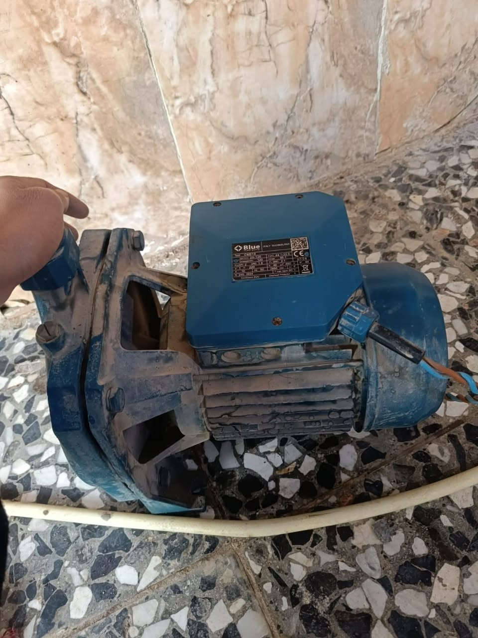 حصانين اخو الجديد ستعمال قليل ***********
