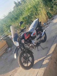 بوكسر • جبلي • ٢٠٢٣