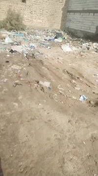 سوك الشيوخ البطاط • ٢٠٨م