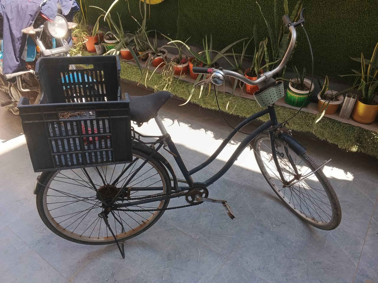 للبيع السعر خاص


**إذا كنت صاحب هذا الإعلان وتريد حذفه لأي سبب، رجاءا أرسل رسالة إلى الدعم الفني**