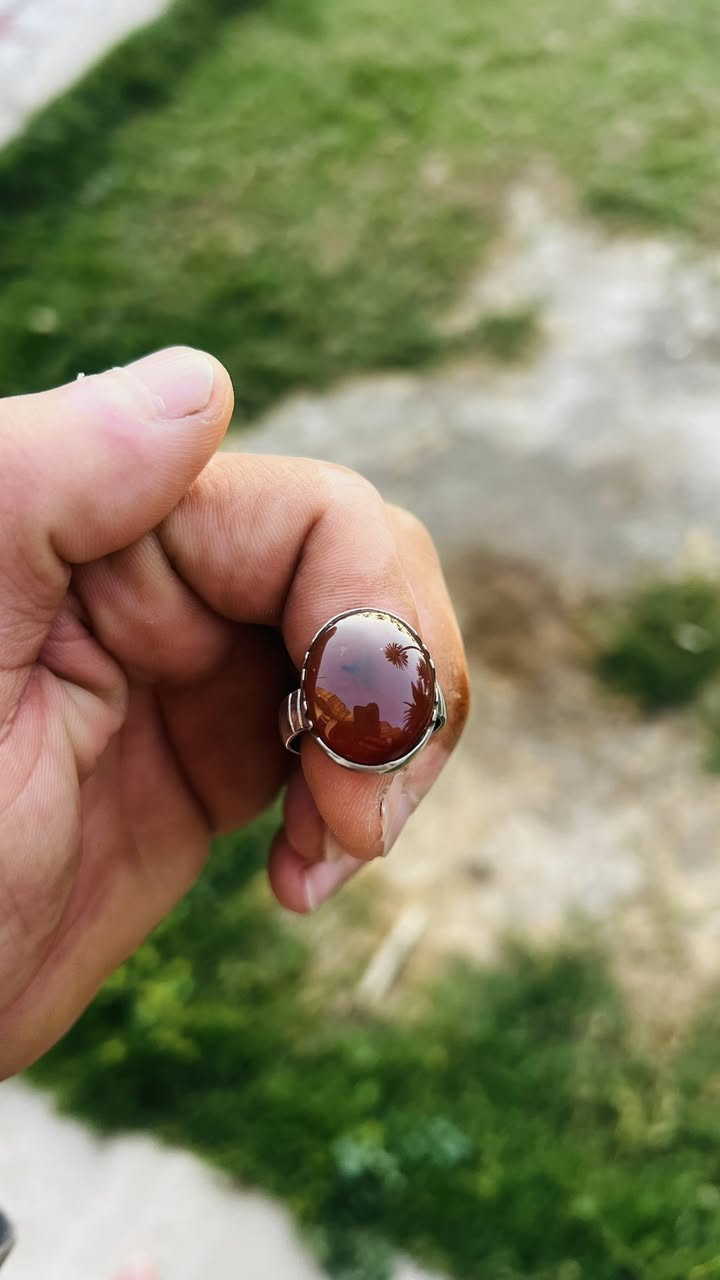 ماعرف بلمحابس بس اعرف انو يسوى سعر زين قالبه حلو وبلبس حلو وشذرته مميزه وبلواقع جدا جميله 
اليدفع بي سعر زين يشوف خيره انشالله التوفيق للجميع


**إذا كنت صاحب هذا الإعلان وتريد حذفه لأي سبب، رجاءا أرسل رسالة إلى الدعم الفني**