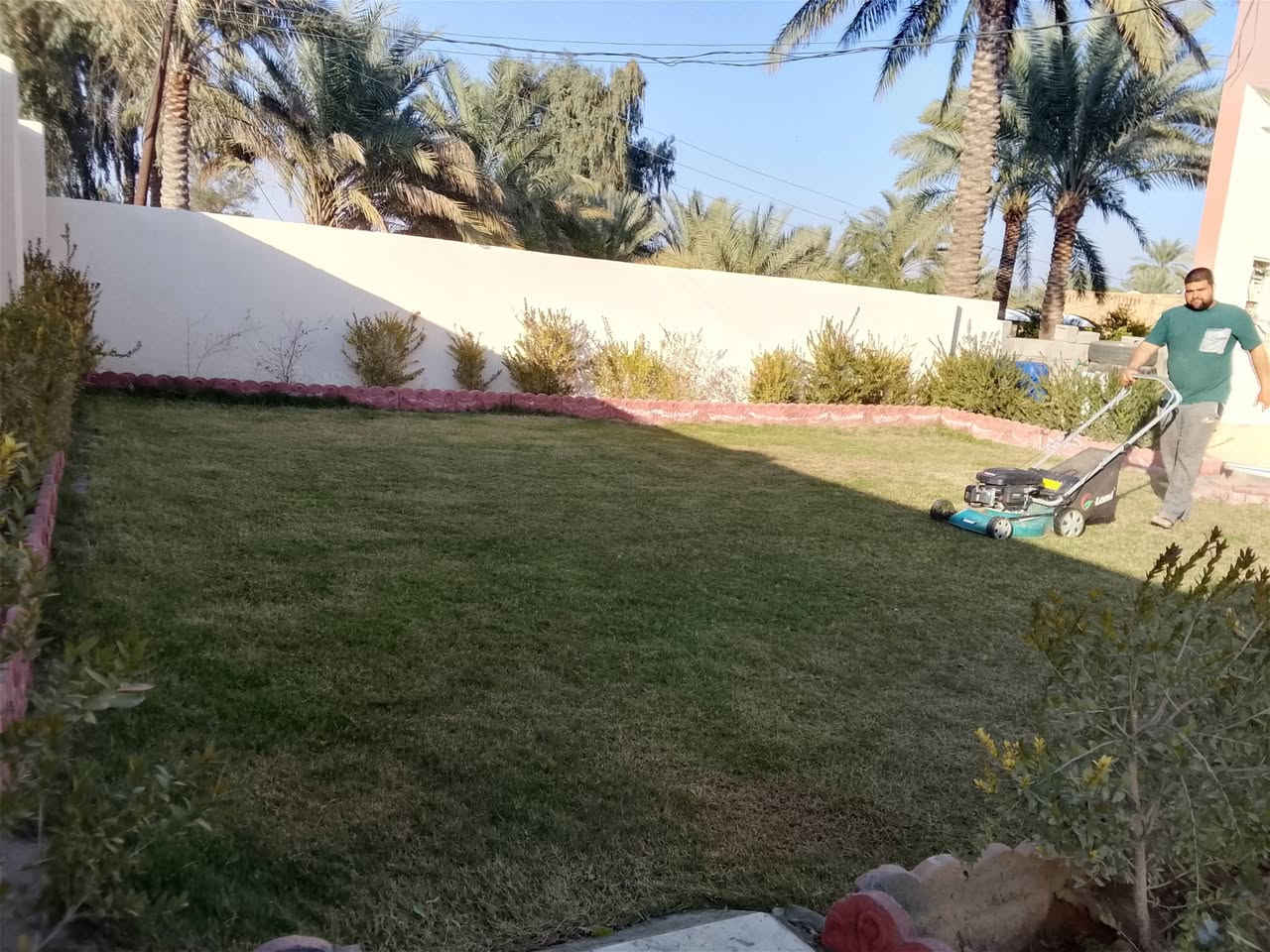 نعمل جميع الحدائق و الديكورات وتقليم الشجار وقص الثيل ديالى شهربان ***********
