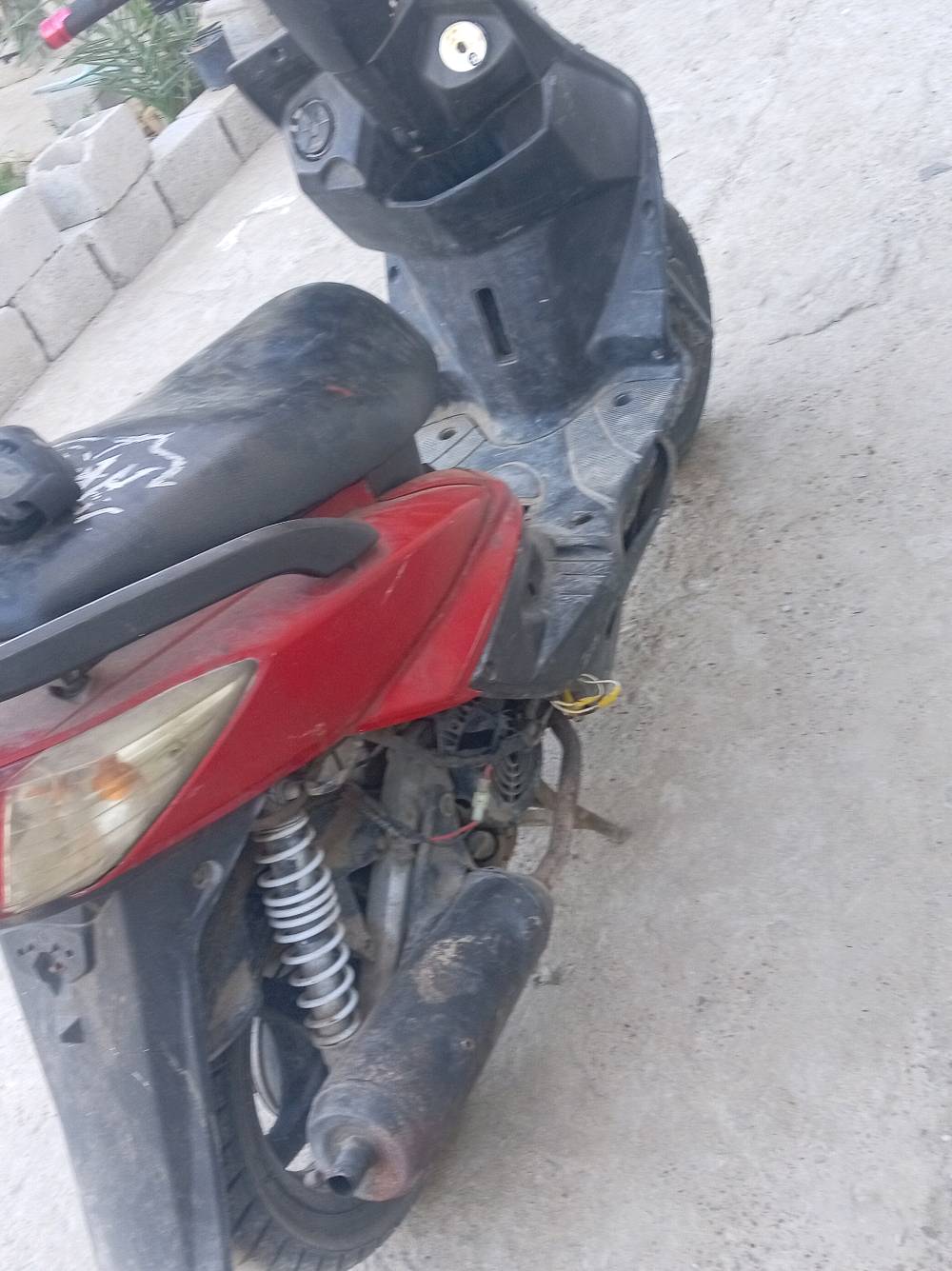 بغداد بوب الشام سكنس فحل 