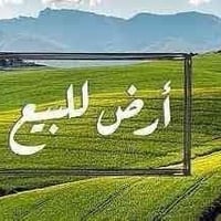 توزيعة الصحفيين • ١٤٠م • واجهة١٥م