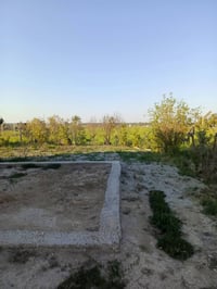 يا الله للبيع دار طابو زراعي سند 25المساحه 500غرفتين نوم وهول ومجمع صح...