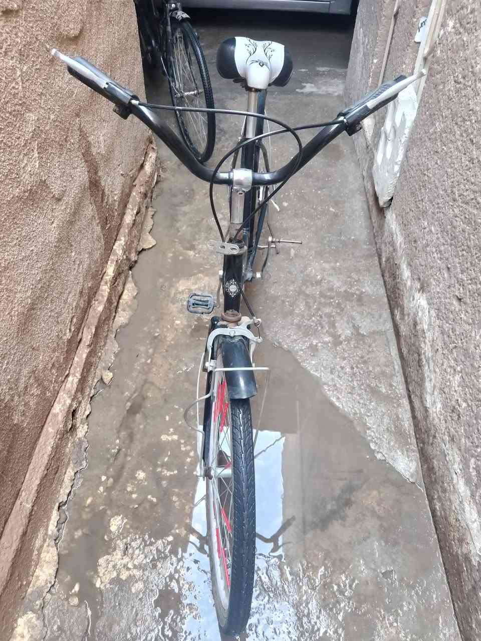 سلام عليكم بايسكلات 2 للبيع الاسود ياباني والثاني صيني الياباني 65وبي مجال تايره الوره مبنجر فقط اما الصيني مكفول كلشي مابي وجديد موديل2024 سعره 60وبي مجال وذا تاخذهن ثنينهن 110قفل للتواصل ***********مكاني كربلاء كبال مستشفى الكفيل
