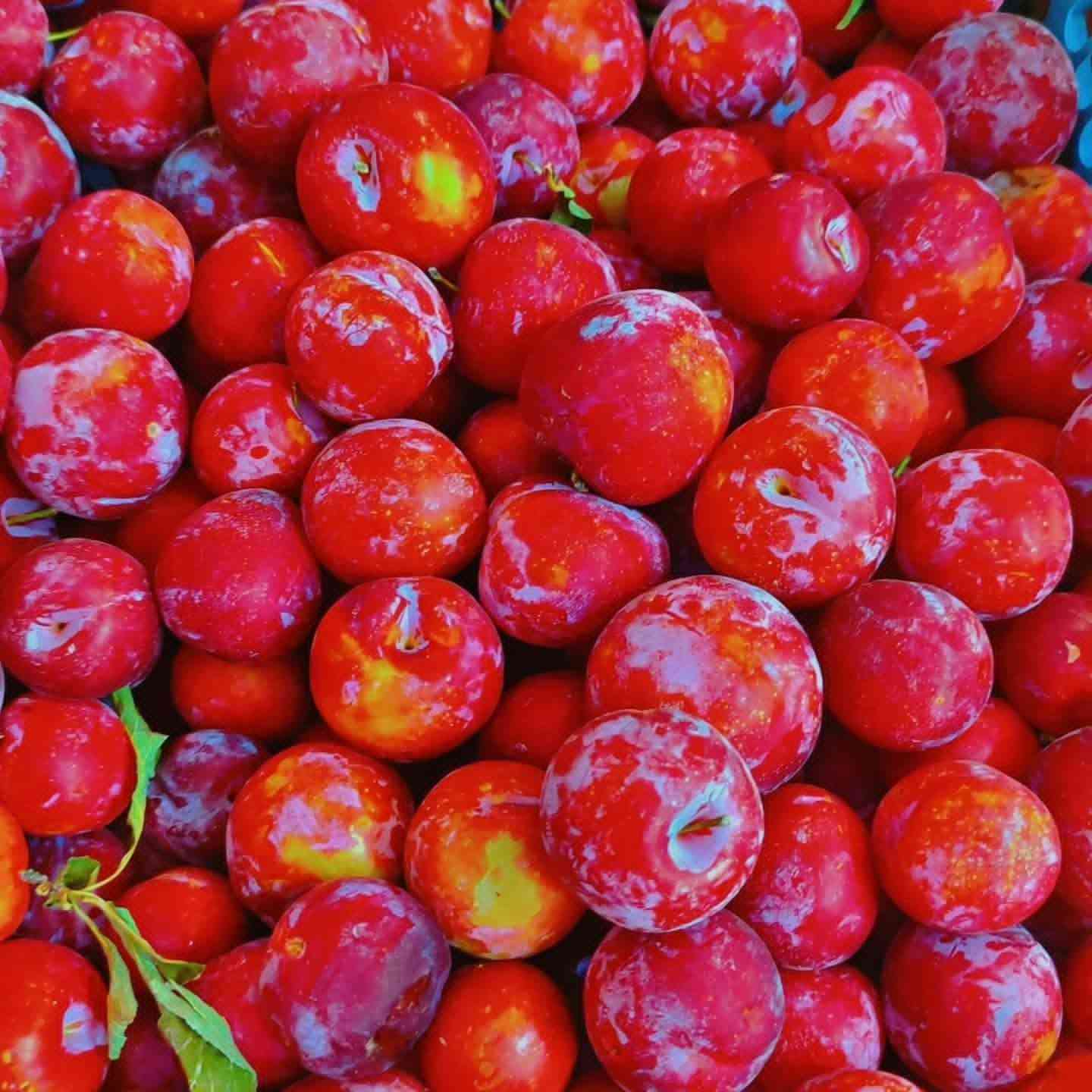 📦 خدمة توصيل + بيع مباشر
🟠🧅 خضروات

بصل اخضر 1500
بصل ابيض 750
🥒 خيار عراقي 1000
🥔 بطاطا درجة أولى: 750
🍅 طماطة عراقيه750. 3بلفين
🍆 باذنجان عراقي 750
🥕 جزر أصفر: 1500
🥬 لهانة بيضة: 1000
الهانه حمره1000
🧅ثوم اصبع 1000
🫑 فلفل اخضر بارد 1500
فلفل حار 3000
🥒شجر 1500
🫛 باميا   تازة كيلو 2.500
طرح 1000
ثوم وزن 4000

🔴 فواكه
🍉ركي ااحمر ك 750 3بلفين
بطيخ 1000
كرز 4000
فطر 2000
عنب عراقي 1.500
🍌 موز : 2000
🍋ليمون اصفر 3000
🍊 برتقال مصري 1500
🍎 تفاح عجم 1500
🔴 تفاح أحمر: 1500
🟡 تفاح أصفر: 1500
خوخ كعكي 2،500
خوخ مسكي 2000
الووووو سوري 2000
خضره 10بلف ريحان بيرده فجل كرفس
🗣طرشي مدبس 1500
🗣طرشي حامض 1500
👤طرشي بل رمان 1500

🔴🥩 لحوم 

🥩 لحم عجل: 14000
🥩 لحم عجل شرح: 15000
🍖 لحم مثروم: 12000

🐓 دجاج حي كبار مع الذبح والتنظيف: 8000

🐟 سمك سمتي عدل: 6000


**إذا كنت صاحب هذا الإعلان وتريد حذفه لأي سبب، رجاءا أرسل رسالة إلى الدعم الفني**