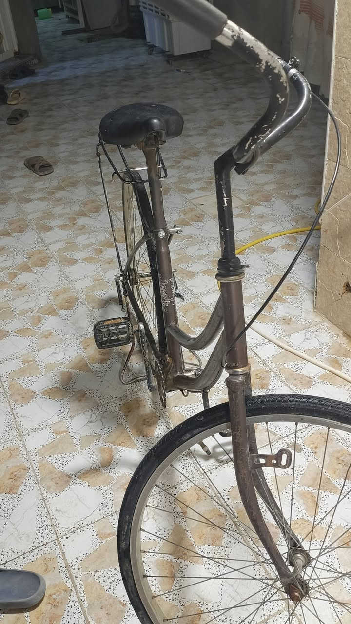 السلام عليكم بايسكل للبيع سعر 70 بي مجال


**إذا كنت صاحب هذا الإعلان وتريد حذفه لأي سبب، رجاءا أرسل رسالة إلى الدعم الفني**