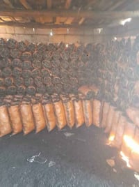 درجة أولى • سنغافورة