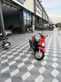 دراجة فلة • ٢٠١٠