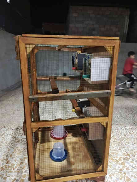 السلام عليكم قفص معروض للبيع40 وبي مجال ***********
